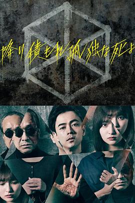 密谍伙伴第一季